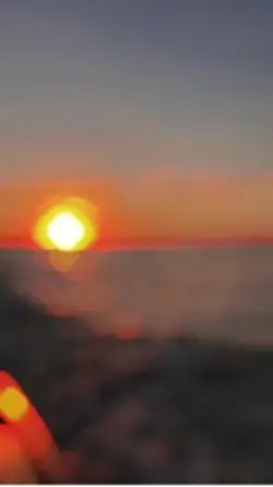 🌅