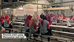 Ceo meyamar