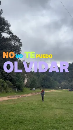 Me enseñaste 