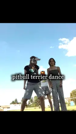 PIT-BULL 