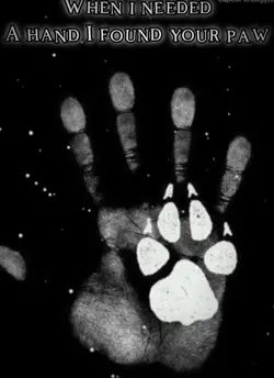 Found a paw