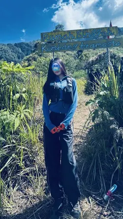 Aesthetic