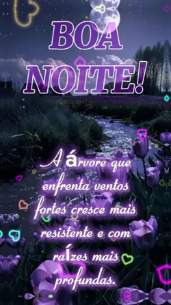 Boa noite 