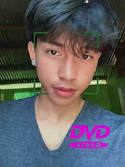 DVD 