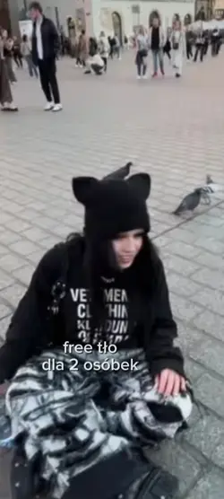 free tło z kotolgą
