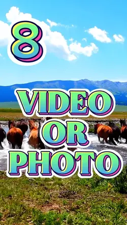 Add 8 Videos Photos