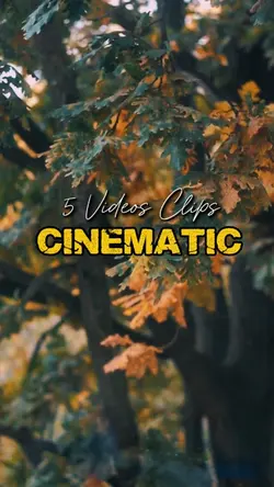 Cinematic 5 Videos 
