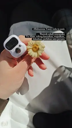 banyak sekali rencan