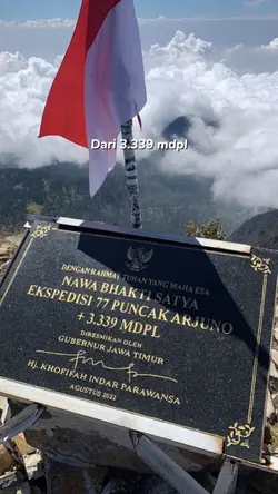 Dari 3339 MDPL