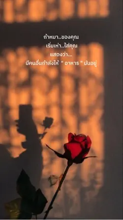 ถ้าหมาของคุณเริ่มเห่าใส่คุณ