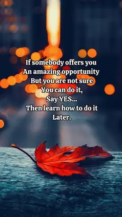 Quotes 