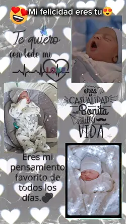 mi bb