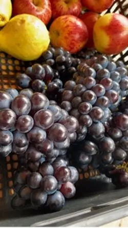 Frutas