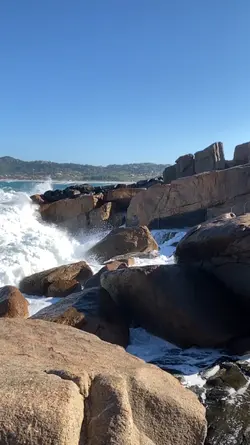 Slow Motion Reverse 