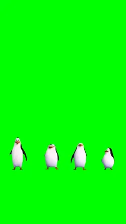 Penguin Dancing Meme