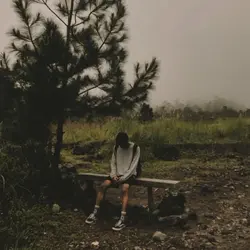 pieces