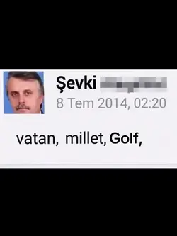 Vatan millet akımı