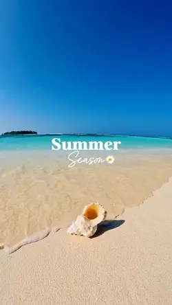 summer vlog