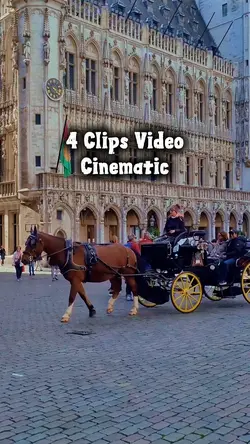 4 Clips Video