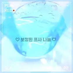보정 망한 보프나