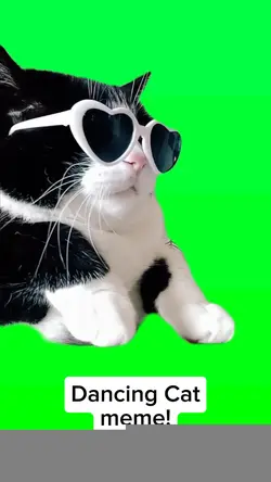 Dancing Cat Meme