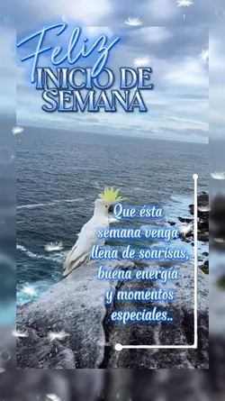 Inicio De Semana 