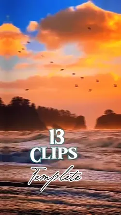 13 video or picture 