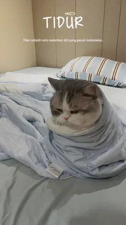tidur adalah