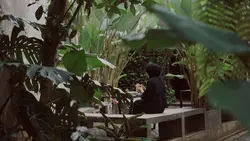 Aesthetic 4 Clips 