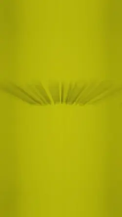 Template eidt video 
