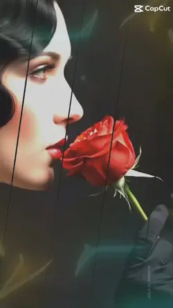red rose