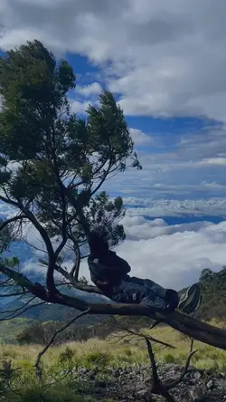 1 video di alam