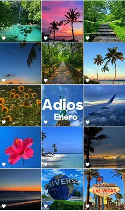 Adiós enero 