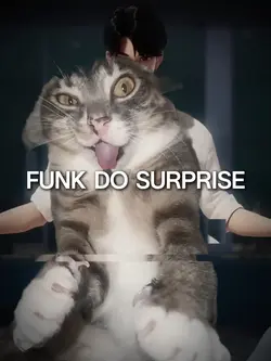 Funk do surprise 