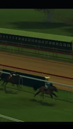 Horse rading 