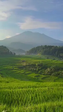 suasana alam desa