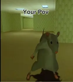 Dance rat