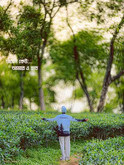 ধরেনি কেউ..