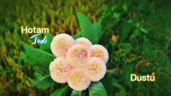হোতাম যদি দুষ্টু কোন