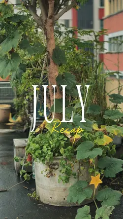 July recap 