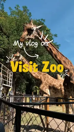 zoo