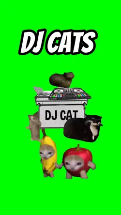 DJ cats 