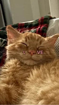 kitty love 💗 