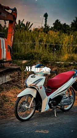 Mẫu xe 