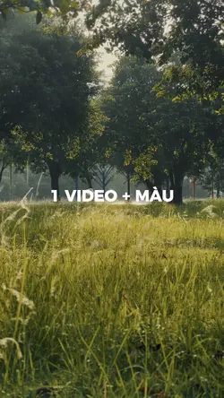 Vibe Chill