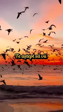 Versuri fy Lyrics 