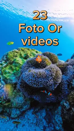 23 Video slides