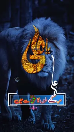 Ali Mola