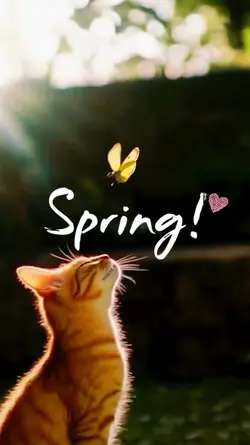 SPRING!