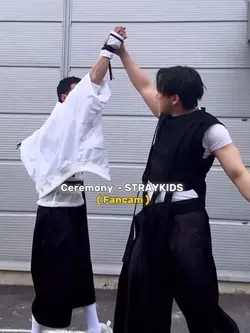 FANCAM